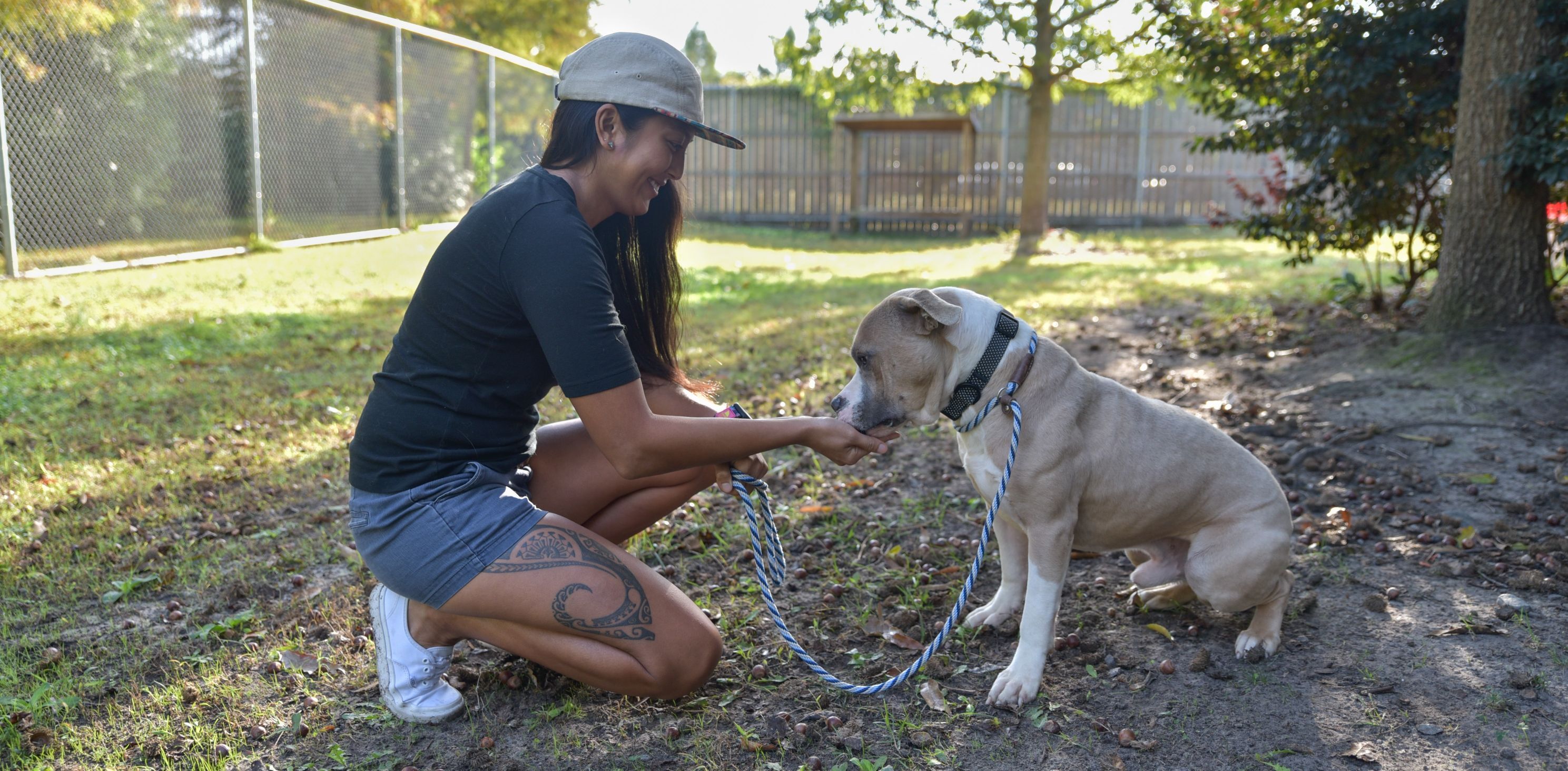 Helping Dogs Build Resilience Against Shelter Stress