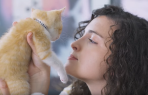 Neuroscientist and kitten