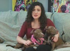 Neuroscientist and puppies