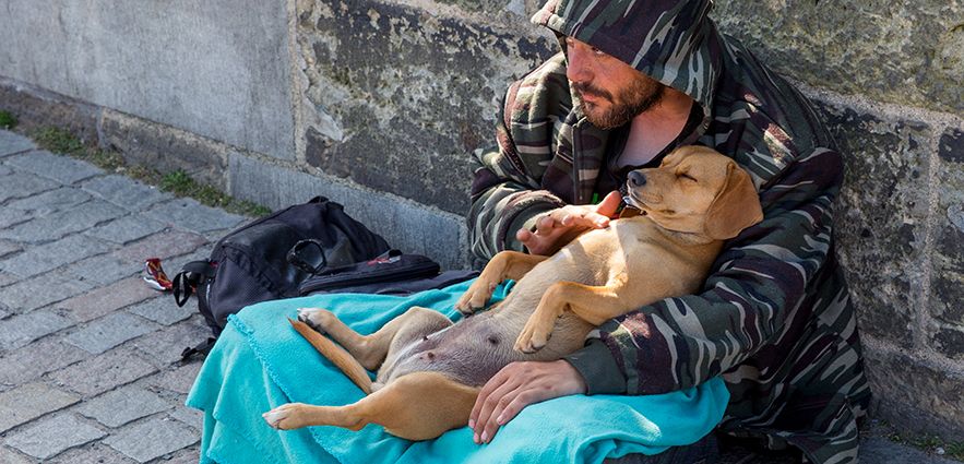 Champions for Access to Care