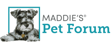 Maddie's Pet Forum logo. This will take you to the homepage