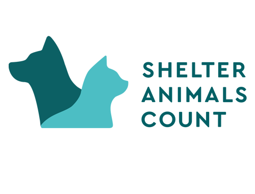 Shelter Animals Count